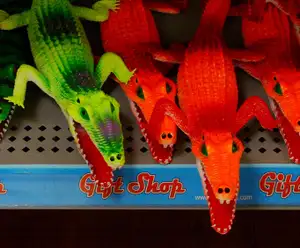 Gator Beach - The World's Greatest Alligator Park Destin, FL