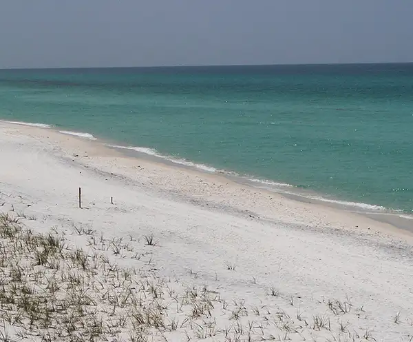 Grayton Beach State Park Santa Rosa Beach Destin, FL
