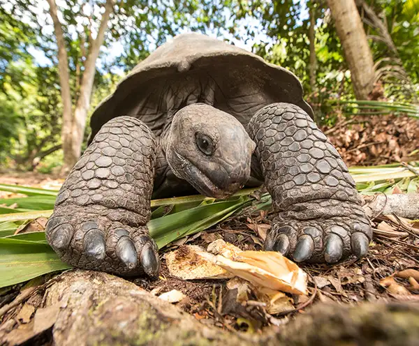 Rocky Bayou State Park Aquatic Preserve Destin, FL