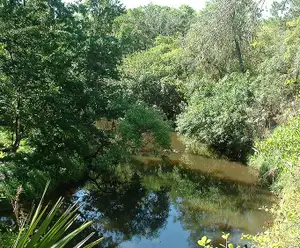 Turkey Creek Park Destin, FL