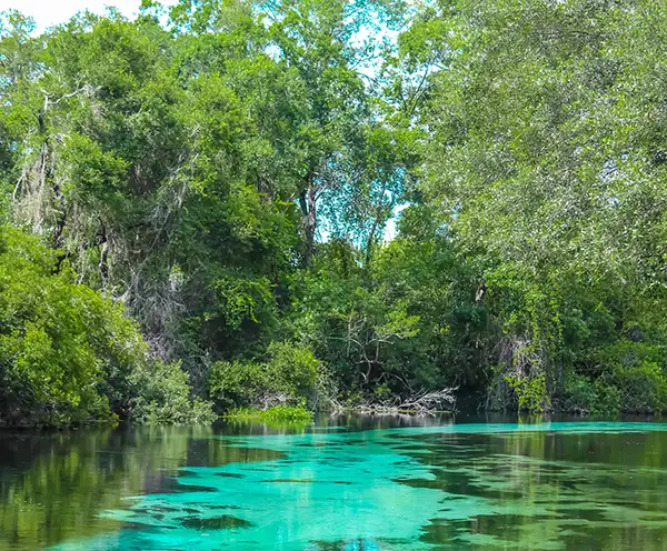 Watercolor Cerulean Park Destin, FL
