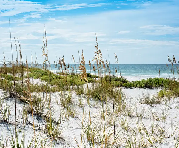 Watercolor Marina Park Destin, FL