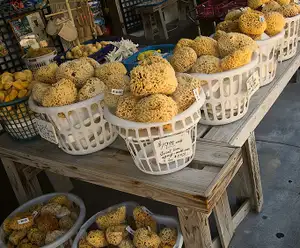 Sea Market Destin, FL