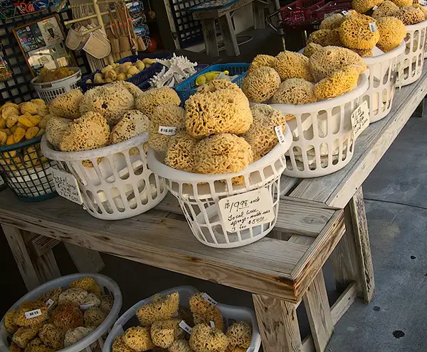 Sea Market Destin, FL