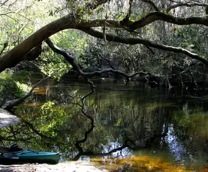 Alaqua Bayou near Destin, FL