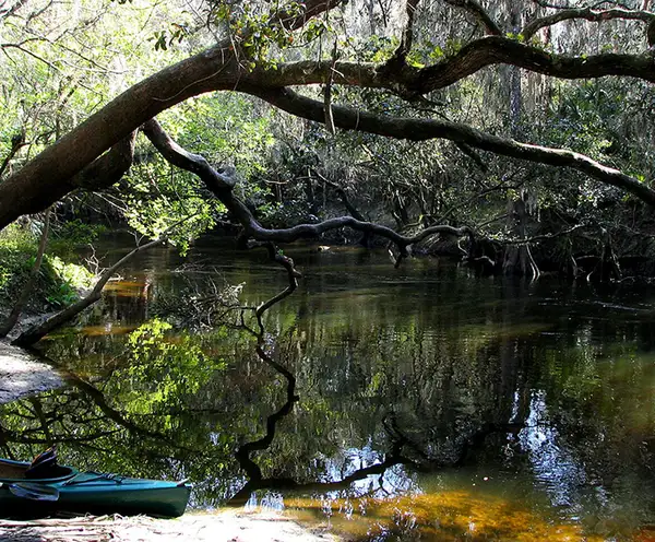 Alaqua Bayou near Destin, FL
