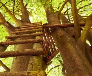 Baytowne Tree House Destin, FL