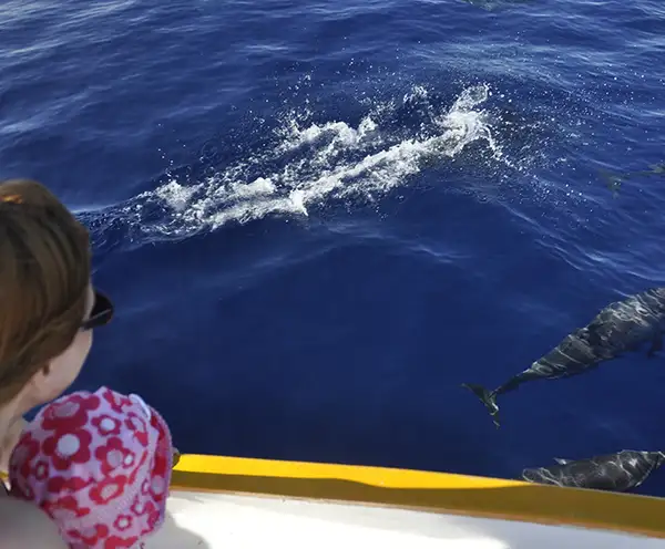 Destin Dolphin Cruises, FL
