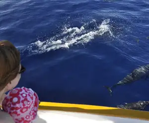 Destin Dolphin Cruises, FL