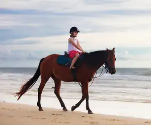 Horseback Riding Destin, FL
