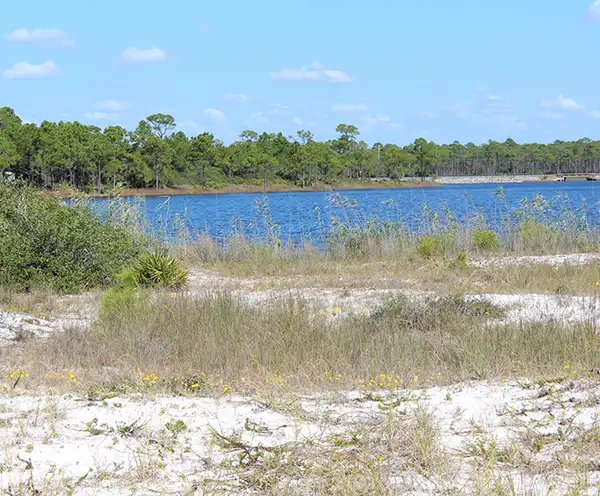 Hogtown Bayou in Santa Rosa Beach near Destin, FL