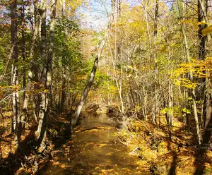 Appalachian Trail section Swatara Hershey