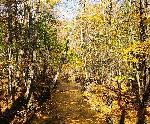 Appalachian Trail section Swatara Hershey