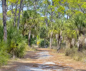 Point Washington State Forest Destin, FL