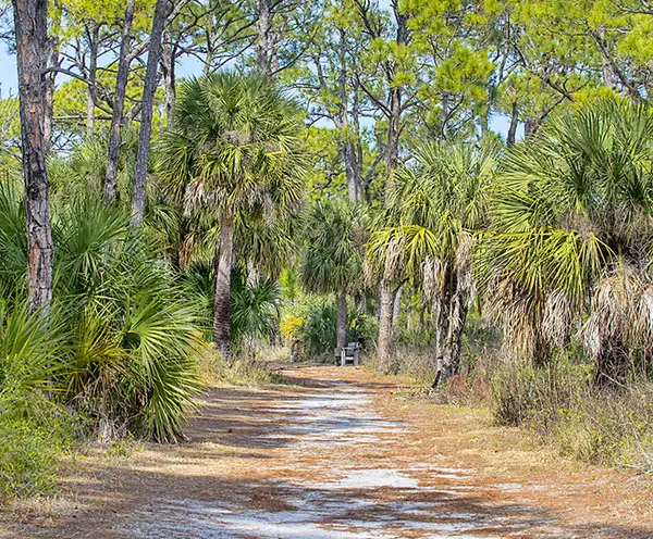 Point Washington State Forest Destin, FL