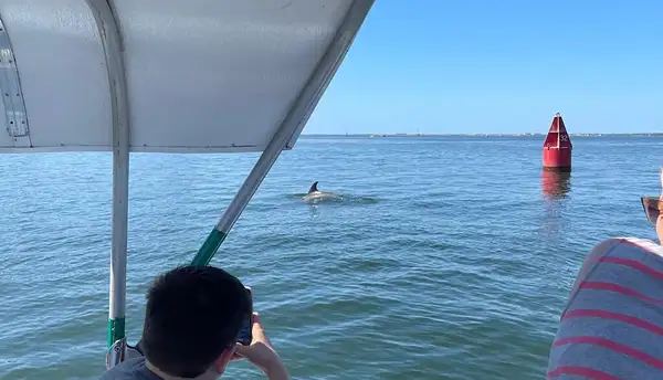 Dolphin Village