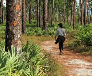 Beacon Beach Nature Trail 