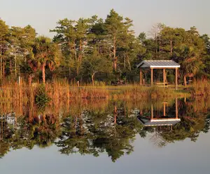 Gayle's Sunny Side Conservation Park Panama City Beach, FL