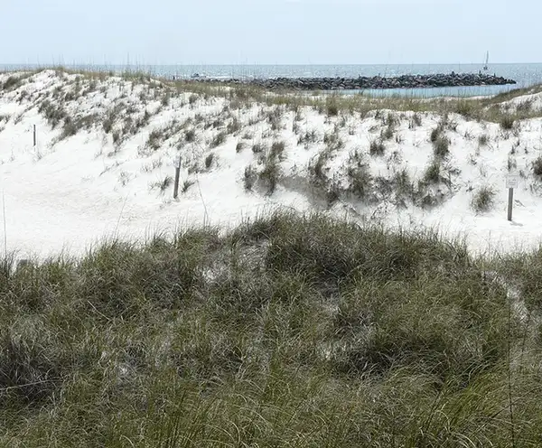 Jetty Bay Beach Access Boardwalk