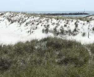 Jetty Bay Beach Access Boardwalk