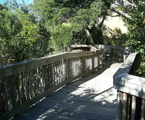 Oaks by the Bay Park