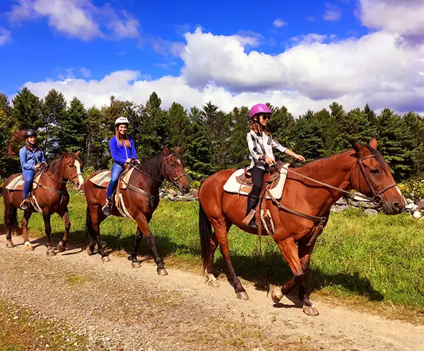 Sunshine Riding Trails