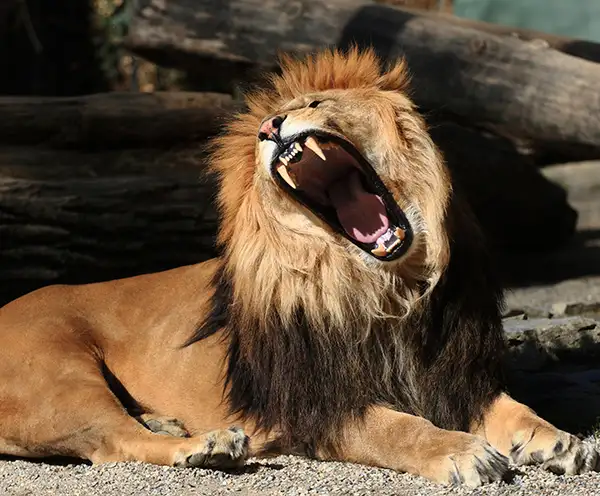 ZooWorld Park Panama City Beach