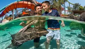 Aquatica