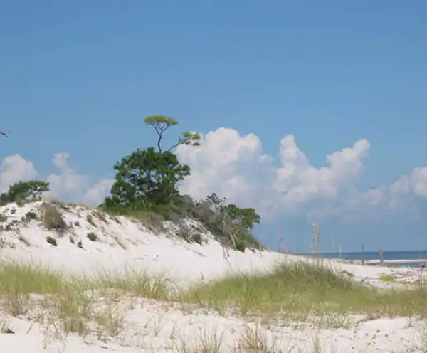 Johnson Beach National Seashore Pensacola