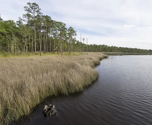 Perdido Bay Trail Pensacola Beach
