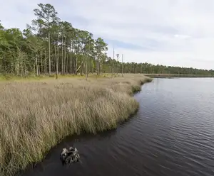 Perdido Bay Trail Pensacola Beach