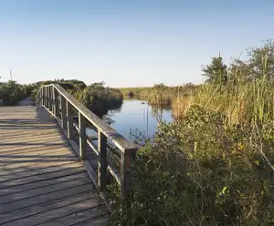 Southwest Escambia Greenway Pensacola