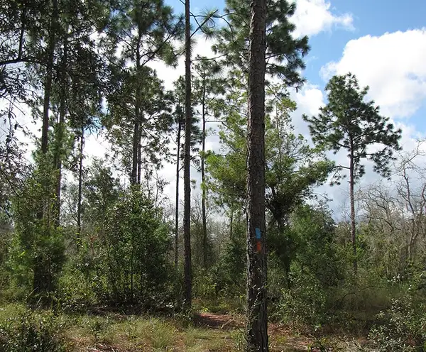 EOD Range Trail Destin, FL