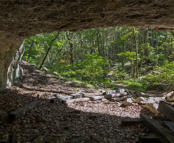 Basin Spring Bluff Shelter Cave