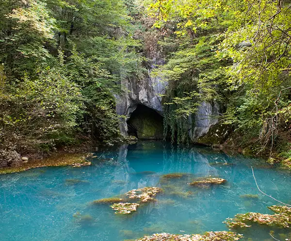 Cave Spring