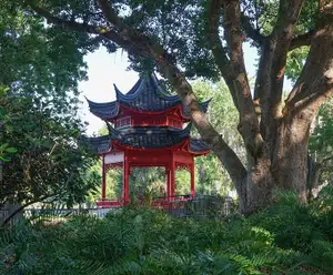 Red Chinese Ting at Lake Eola Park